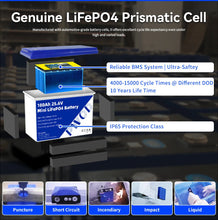 PWOD 100Ah 2560Wh LiFePO4 Battery - 6000 Cycles, IP65 Solar/RV/Marine Power