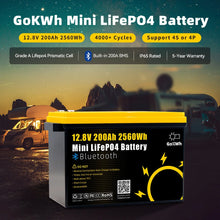 Gokwh 12V 200Ah Mini Bluetooth LiFePO4 Battery Built-in Bluetooth BMS 2560Wh LiFePO4(LFP) IP65 Protection