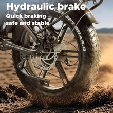 RANDRIDE YX20M-2 Electric Bike 48V 20AH 500W*2 (Peak 1000W*2) Dual Motor Recommended Top Speed 25KM/H 20inch Tire 50-60KM Max Mileage 180KG Max Load Electric Bicycle