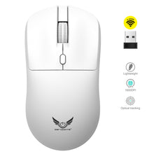 T2 Wireless Mouse with 2.4G Connection Adjustable DPI Battery Powered Wide Compatibility for Windows/iOS